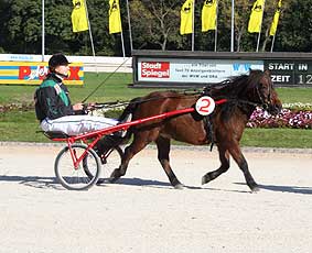 Gitano mit Jennifer Langendorf